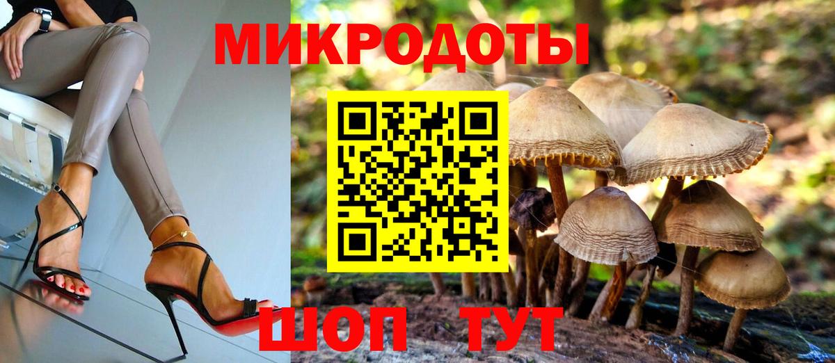 Псилоцибиновые грибы Psilocybine cubensis  Псилоцибиновые грибы Cubensis  Видное  Вход с VPN 