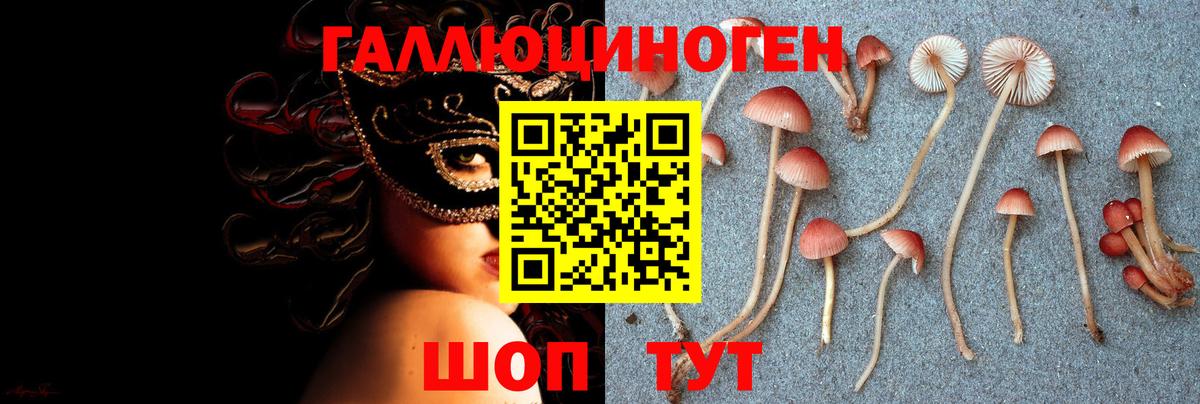 Псилоцибиновые грибы прущие грибы Видное